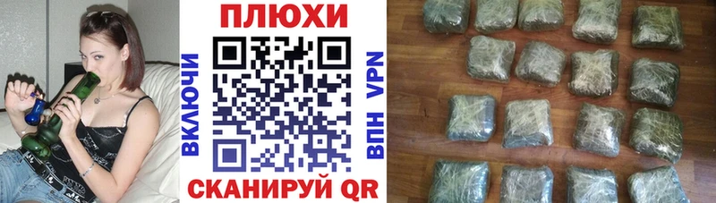 ГАШ Premium  Купить  Чулым 