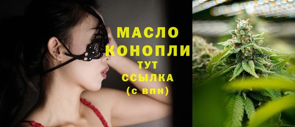 гидра Новодвинск