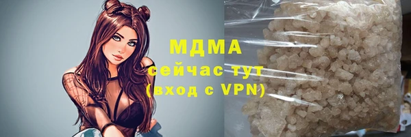 индика Новокубанск