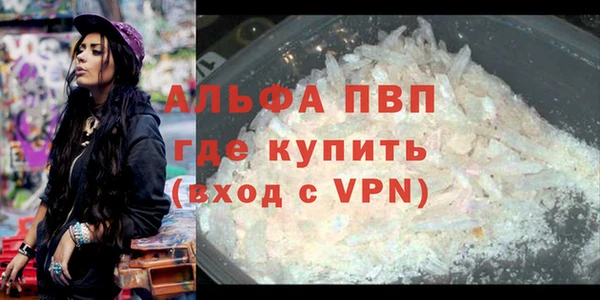 стаф Нея