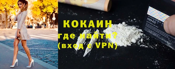индика Новокубанск