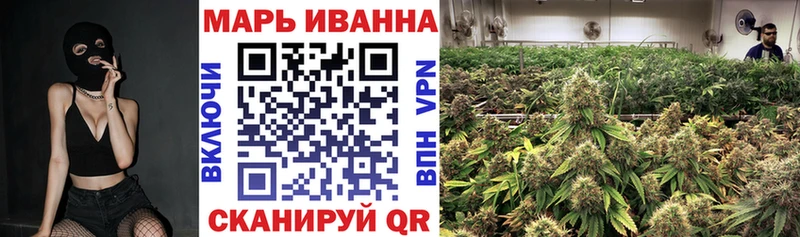 Купить где  Чулым  Бошки Шишки SATIVA & INDICA 